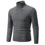 RAYMOND Patterned Turtleneck Sweater