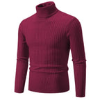 RAYMOND Patterned Turtleneck Sweater