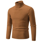 RAYMOND Patterned Turtleneck Sweater