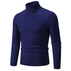 RAYMOND Patterned Turtleneck Sweater