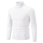 RAYMOND Patterned Turtleneck Sweater